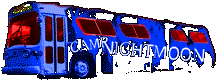nightmoon bus