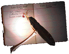 guest book with skeleton hand & quill pen